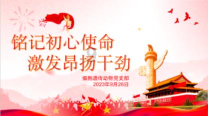救援卡通小象