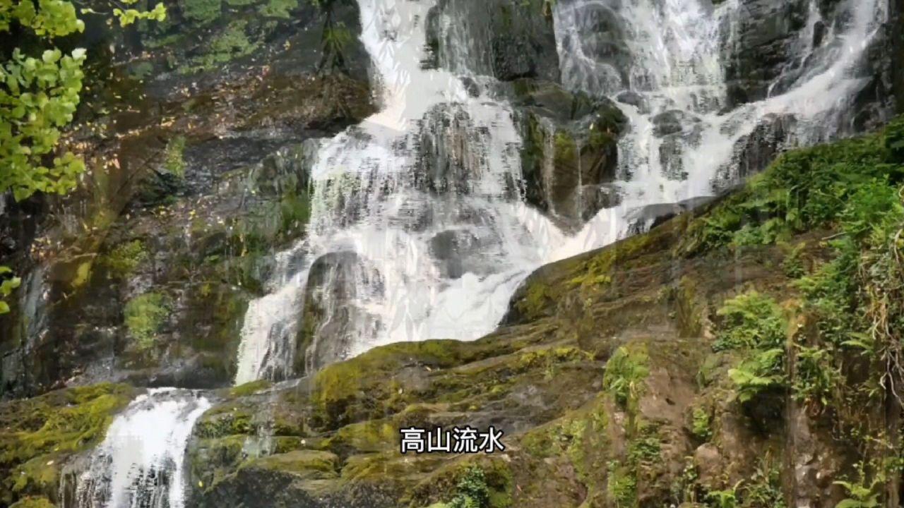 公子是女生